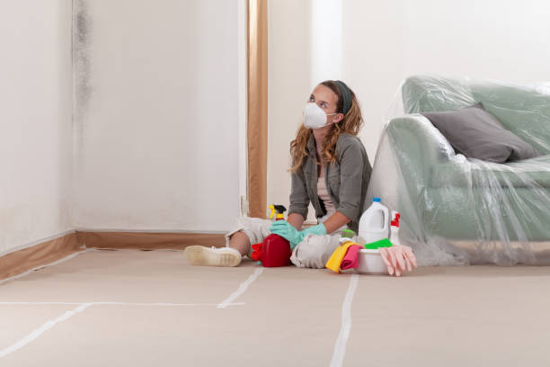 Reliable Mold Inspection contractor in Lemoyne, PA by WQB Mold Removal
